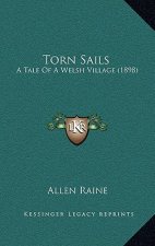 Torn Sails: A Tale Of A Welsh Village (1898)