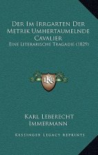 Der Im Irrgarten Der Metrik Umhertaumelnde Cavalier: Eine Literarische Tragadie (1829)