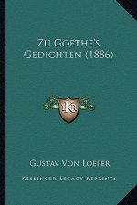 Zu Goethe's Gedichten (1886)