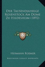 Der Tausendjahrige Rosenstock Am Dome Zu Hildesheim (1892)