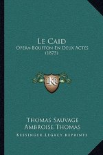 Le Caid: Opera-Bouffon En Deux Actes (1875)