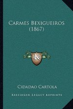 Carmes Bexigueiros (1867)