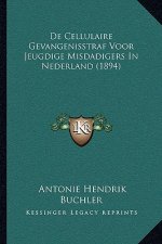 De Cellulaire Gevangenisstraf Voor Jeugdige Misdadigers In Nederland (1894)