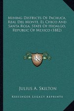 Mining Districts Of Pachuca, Real Del Monte, El Chico And Santa Rosa, State Of Hidalgo, Republic Of Mexico (1882)