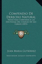 Compendio De Derecho Natural: Redactado Conforme A Las Doctrinas Del Colegio De San Carlos (1853)
