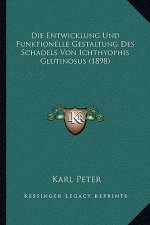 Die Entwicklung Und Funktionelle Gestaltung Des Schadels Von Ichthyophis Glutinosus (1898)