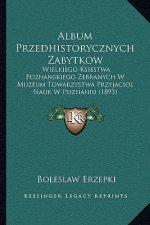 Album Przedhistorycznych Zabytkow: Wielkiego Ksiestwa Poznanskiego Zebranych W Muzeum Towarzystwa Przyjaciol Nauk W Poznaniu (1893)