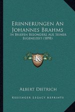 Erinnerungen An Johannes Brahms: In Briefen Besonders Aus Seiner Jugendzeit (1898)