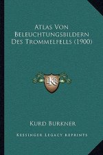 Atlas Von Beleuchtungsbildern Des Trommelfells (1900)