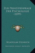 Zur Prinzipienfrage Der Psychologie (1899)