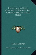 Breve Saggio Delle Condizioni Presenti Del Cattolicismo In Italia (1856)