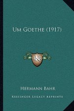 Um Goethe (1917)