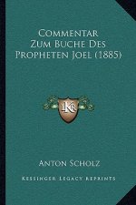 Commentar Zum Buche Des Propheten Joel (1885)