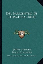Del Baricentro Di Curvatura (1844)