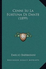 Cenni Su La Fortuna Di Dante (1899)