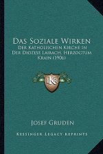Das Soziale Wirken: Der Katholischen Kirche In Der Diozese Laibach, Herzogtum Krain (1906)