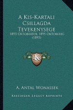 A Kis-Kartali Csillagda Tevekenysege: 1893 Oktobertol 1895 Oktoberig (1895)