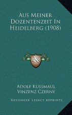 Aus Meiner Dozentenzeit In Heidelberg (1908)