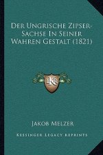 Der Ungrische Zipser-Sachse In Seiner Wahren Gestalt (1821)