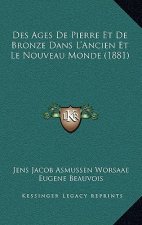 Des Ages De Pierre Et De Bronze Dans L'Ancien Et Le Nouveau Monde (1881)