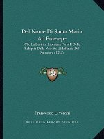 Del Nome Di Santa Maria Ad Praesepe: Che La Basilica Liberiana Porta E Delle Reliquie Della Nativita Ed Infanzia Del Salvatore (1854)