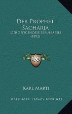 Der Prophet Sacharja: Der Zeitgenosse Serubbabels (1892)