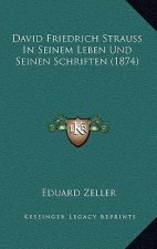 David Friedrich Strauss In Seinem Leben Und Seinen Schriften (1874)