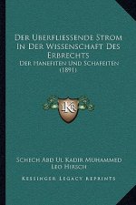 Der Uberfliessende Strom In Der Wissenschaft Des Erbrechts: Der Hanefiten Und Schafeiten (1891)