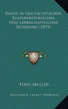 Davos In Geschichtlicher, Kulturhistorischer Und Landschaftlicher Beziehung (1875)