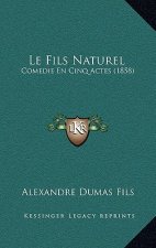 Le Fils Naturel: Comedie En Cinq Actes (1858)