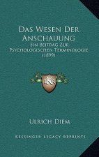 Das Wesen Der Anschauung: Ein Beitrag Zur Psychologischen Terminologie (1899)