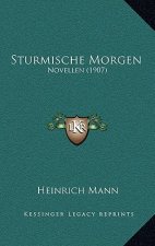 Sturmische Morgen: Novellen (1907)