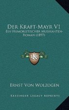 Der Kraft-Mayr V1: Ein Humoristischer Musikanten-Roman (1897)