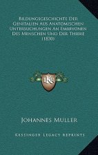 Bildungsgeschichte Der Genitalien Aus Anatomischen Untersuchungen An Embryonen Des Menschen Und Der Thiere (1830)