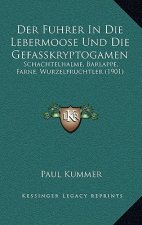 Der Fuhrer In Die Lebermoose Und Die Gefasskryptogamen: Schachtelhalme, Barlappe, Farne, Wurzelfruchtler (1901)