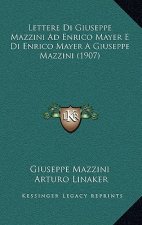 Lettere Di Giuseppe Mazzini Ad Enrico Mayer E Di Enrico Mayer A Giuseppe Mazzini (1907)