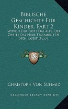 Biblische Geschichte Fur Kinder, Part 2: Wovon Der Erste Das Alte, Der Zweite Das Neue Testament In Sich Fasset (1853)