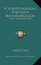 A Nemzetgazdasag Tortenete Magyarorszagon: Rovid Vazlatban (1865)