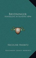 Brydninger: Fortaelling Af Agnethe (1894)