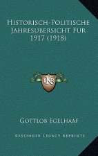 Historisch-Politische Jahresubersicht Fur 1917 (1918)