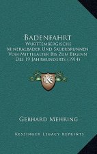 Badenfahrt: Wurttembergische Mineralbader Und Sauerbrunnen Vom Mittelalter Bis Zum Beginn Des 19 Jahrhunderts (1914)