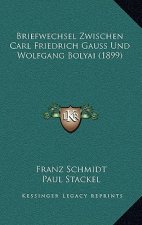 Briefwechsel Zwischen Carl Friedrich Gauss Und Wolfgang Bolyai (1899)