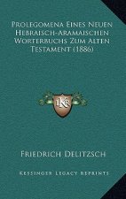 Prolegomena Eines Neuen Hebraisch-Aramaischen Worterbuchs Zum Alten Testament (1886)