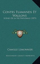 Contes Flamands Et Wallons: Scenes De La Vie Nationale (1873)