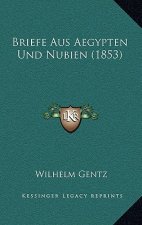 Briefe Aus Aegypten Und Nubien (1853)