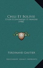 Chili Et Bolivie: Etude Economique Et Miniere (1906)