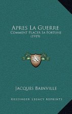Apres La Guerre: Comment Placer Sa Fortune (1919)