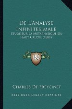 De L'Analyse Infinitesimale: Etude Sur La Metaphysique Du Haut Calcul (1881)