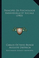 Principes De Psychologie Individuelle Et Sociale (1903)
