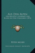 Aus Den Alpen: Geschichten, Schwanke Und Bilder Aus Dem Volksleben (1874)